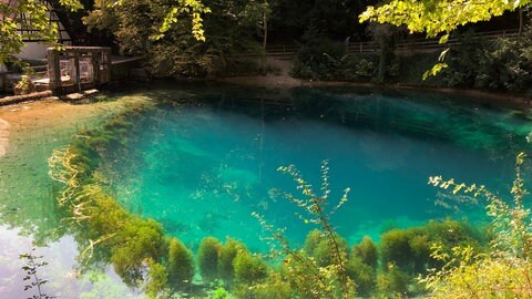 Wandern in BW: Den Blaubeurer Felsenstieg beginnt direkt am Blautopf - dem Eingang zu einem teilweise überfluteten Karsthöhlen-System.