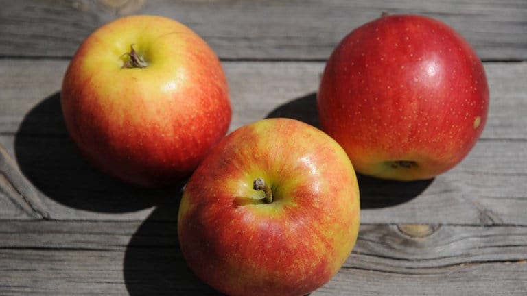 Äpfel der Sorte Jonagold 