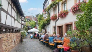 Weinfest im Weinort Gleiszellen in der Südpfalz.