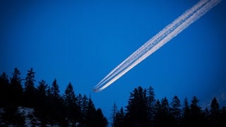 Darum lassen Flugzeuge Kerosin über dem Pfälzerwald ab. Flugzeug mit Kondensstreifen fliegt niedrig über Wald.
