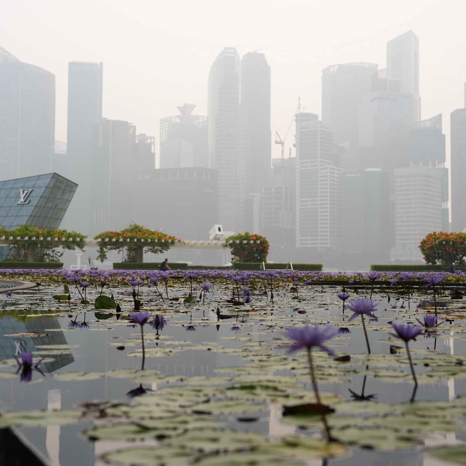 Singapur/Johnston/0049 Korritagebuch/Mit Luftfilter und Masken gegen den Haze