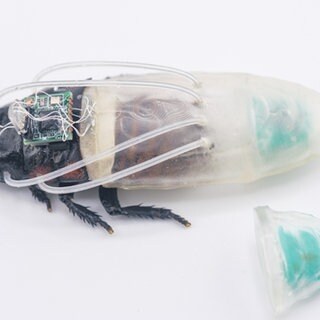 Nahaufnahme einer Cyborg-Kakerlake mit Taucheranzug