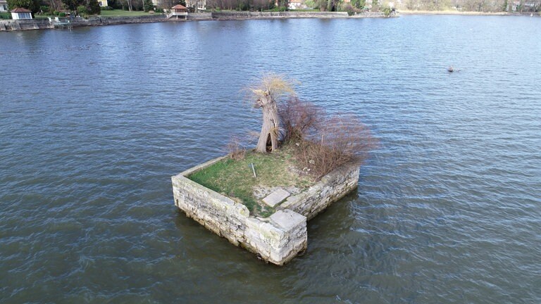 Die Insel Hoy im Bodensee im Jahr 2020. Damals war die Mauer unbeschädigt, die Weide hat aber bereits ihren Hauptast verloren.