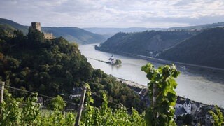 Ein Ausblick über Weinberge auf die Pfalzgrafenstein mitten im Rhein und die Burg Gutenfels auf der Höhe.