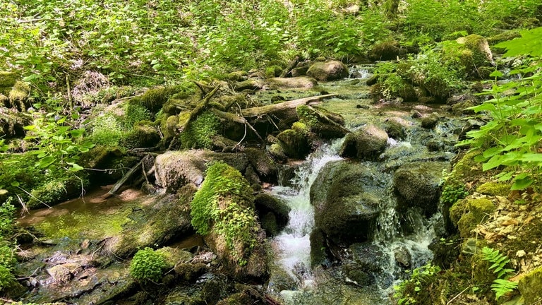 Die Klamm auf der Hunolsteiner Klammtour