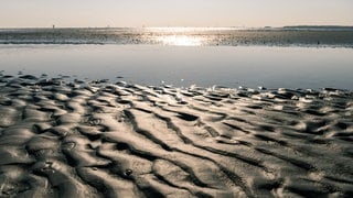 Priel im Wattenmeer zwischen Cuxhaven und der Insel Neuwerk