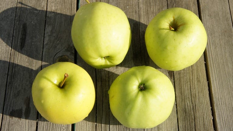 Äpfel der Sorte Golden Delicious