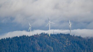 Drei Windräder stehen im Schwarzwald bei Freiburg auf einem Berg.