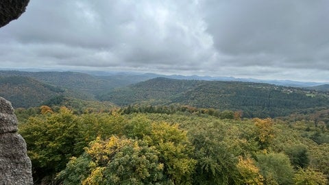 Blick vom Luitpoldturm in Merzalben in der Südwestpfalz.