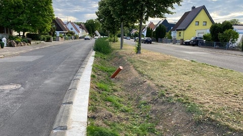 Hitzeschutz und Starkregen-Vorsorge in der Damaschkestraße Ludwigshafen: Die Fahrspuren wurden schmaler gemacht und ein Versickerungsgraben angelegt. 