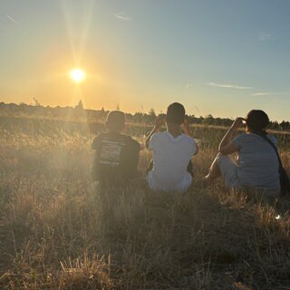 Vier Menschen sitzen mit dem Rücken zur Kamera auf einem Feld - vor ihnen die Sonne am Horizont.