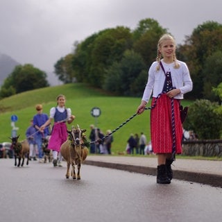 Beim 29. Viehabtrieb in Oberried haben die Zuschauer eine abgespeckte Version der Tradition miterlebt. Die eigentlichen Stars des Tages - die Kühe - sind wegen der Dürre im Sommer schon im Tal.