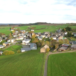Ortsansicht von Steiningen