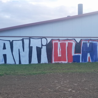 Eine Stallwand in Herbrechtingen wurde von FUßballfans mit Graffiti besprüht. Auf der Hauswand steht "Anti Ulm".