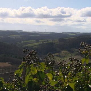 Landschaft