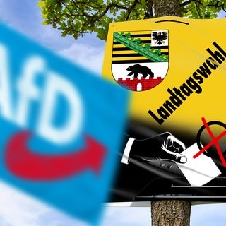 AfD-Logo auf einer Fahne vor einem Plakat zur Landtagswahl in Sachsen-Anhalt (Fotomontage): Warum wählen so viele Ostdeutsche rechts?