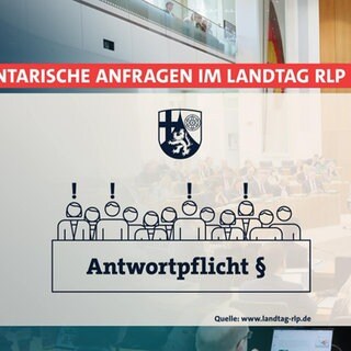 Grafik zu parlamentarischen Anfragen im Landtag RLP