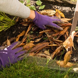 Eine Frau legt Laub auf ein Blumenbeet | Warum ihr Laub im Garten nicht wegwerfen solltet