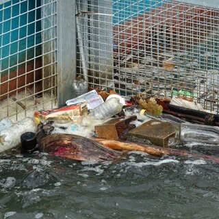 Die "RheinKrake" fischt Müll aus dem Rhein