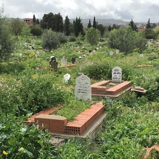 Die Reise an das Grab des verstorbenen Großvaters bringt der Enkelin eine unbekannte Kultur näher.