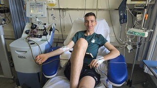 Mailo im Tumorzentrum Heidelberg, zelltherapien tumor krebsforschung