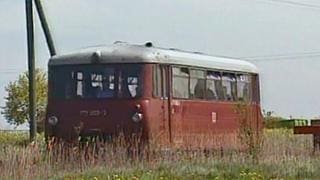144 Ferkeltaxe