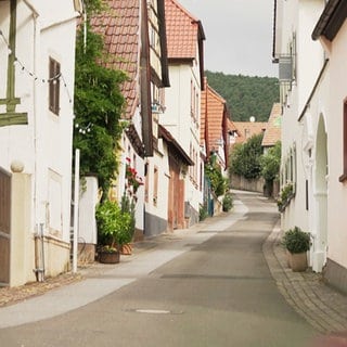 Die Bergstraße in Gleisweiler