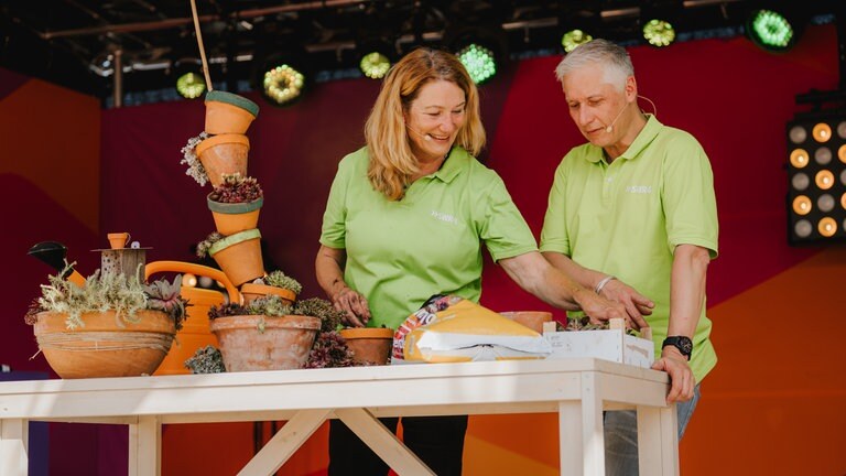 Impressionen von der Festivalmeile beim SWR Sommerfestival in Stuttgart