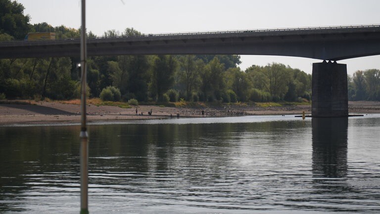 Das Ufer gegenüber von Speyer ist deutlich größer als sonst