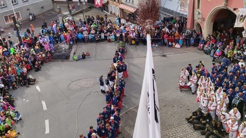 Blick von einem Fenster aus nach unten. Dort liegt der mehrere Meter lange Narrenbaum. Neben ihm stehen die 20-Jährigen.