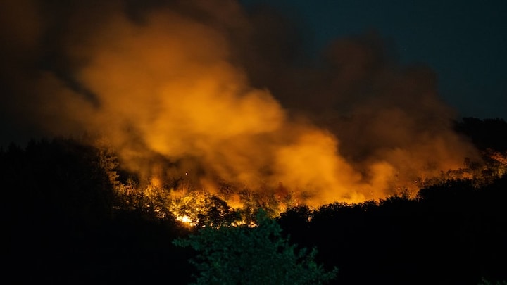 Im Juni 2026 kam es bei Traisen zu einem Waldbrand in einem kampfmittelbelasteten Gebiet: Rund 37.000 Quadratmeter brannten, über 300 Einsatzkräfte und Spezialtechnik waren im Großeinsatz. Mit dem neuen KI-System zur Wettervorhersage lassen sich Extremwetterereignisse längerfristig planen.