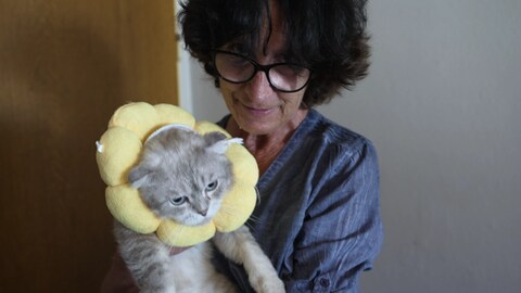 Heidrun Mahl hält eine ihrer Katzen liebevoll im Arm – Sinnbild für ihr Engagement im Tierschutz und die Rettung von Streunerkatzen.