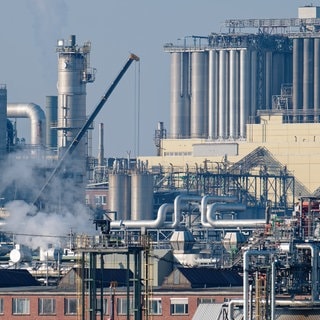 BASF in Ludwigshafen