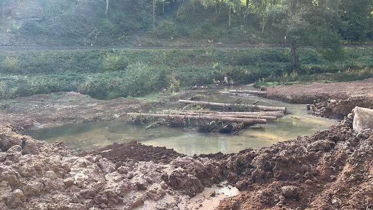 Naturschutzmaßnahmen im Moosalbtal.