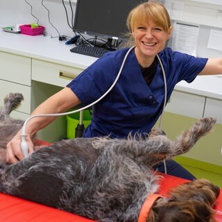 Dr. Heike Karpenstein-Klumpp