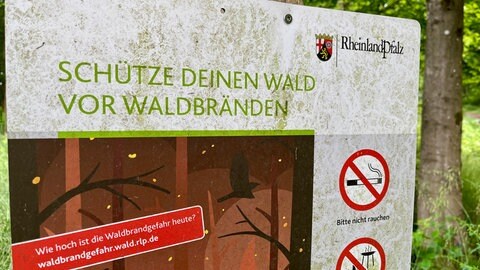 Wald rund um den Donnersberg
