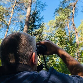 Die Kronen der Altbäume werden mit dem Fernglas gesichtet, um sich an vorab ausgesuchten Waldbereichen im Trippstadter Wald einen Überblick zu verschaffen. 