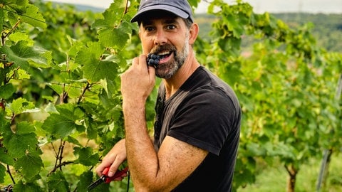 Nicholas Pratt steht in seinen Weinbergen und ist eine Rebe.