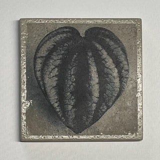 Fototransfer auf Beton