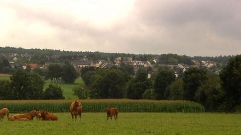 Blick auf Herforst