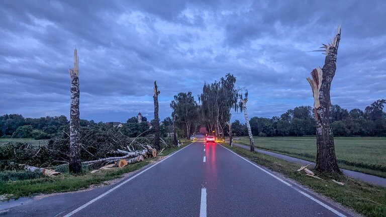 Abgeknickte Bäume säumen nach einem Gewitter in Ulm den Straßenrand.