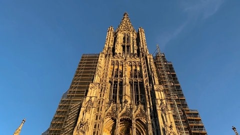Der Turm des Ulmer Münsters scheint in der Abendsonne.