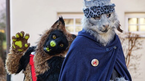Zwei Narren als Katzen beim Umzug zur Fastnacht in Hirschau. Dort waren nur Tiermasken erlaubt.