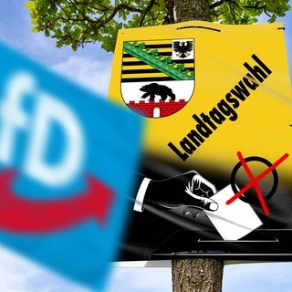 Fotomontage, AfD-Logo auf einer Fahne vor einem Plakat zur Landtagswahl in Sachsen-Anhalt.