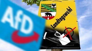 Fotomontage, AfD-Logo auf einer Fahne vor einem Plakat zur Landtagswahl in Sachsen-Anhalt.