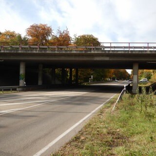 Die marode Brücke in Speyer muss wohl abgerissen werden. Sie sorgt für eine Komplett-Sperrung der Strecke