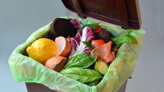 Biotonne mit Bioabfall