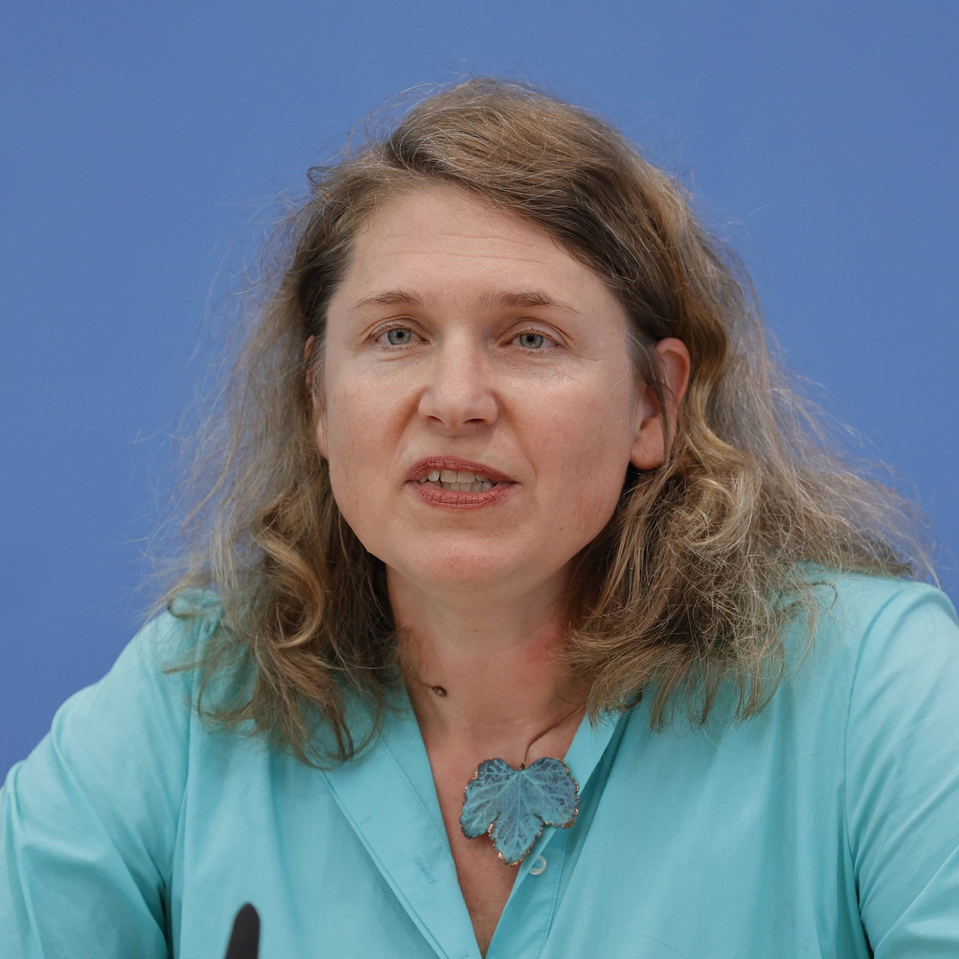 Deutscher Umweltpreis - Juristin Verheyen wird ausgezeichnet