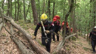 Französische Feuerwehrleute im Wald.