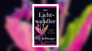Zoë Schlanger: Die Lichtwandler